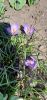 20250403_122212.thumb.jpg.9b8387b32f74af82a15f9fcdd41f46a4.jpg