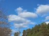 20250403_135627.thumb.jpg.3ac282130aa6cf9dc33d4a284ea325d1.jpg