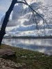 20250405_103541.thumb.jpg.b08e696fc1edde5d0386fb65ea122228.jpg?1745514973704