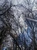 20250405_104035.thumb.jpg.17b90c20f3d05f1418beeddc68a6bb7d.jpg?1745515509855