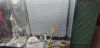 20250405_142538.thumb.jpg.7e6a4e0ddd928f4a7af0bff0dd73be59.jpg