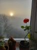 20250413_064619.thumb.jpg.fe6114fbbb63a88d428eff6399429d9a.jpg