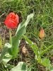 20250417_171733.thumb.jpg.cac9db8a89dd24a6a4e640fedccb45a5.jpg