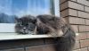 20250419_094855.thumb.jpg.9d137795b27f6f30cbafae688b79ccc8.jpg