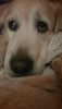 20250419_214424.thumb.jpg.e660d95eb874ab6510e62d800b718aab.jpg