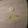 20250419_215053.thumb.jpg.c25747b6b65ed67e56c145517312edeb.jpg