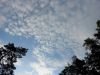 20250420_065735.thumb.jpg.0ad66cf209f58c30f87fee75e5dc3b97.jpg