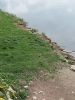 20250420_115236.thumb.jpg.6de59c968839eb2c7affe129fa57c2d1.jpg