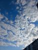 20250421_074953.thumb.jpg.8c29519ca3c41cc64b469400dd8bff08.jpg