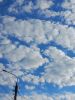 20250421_074959.thumb.jpg.b33f6d8d2f5d985729f49b297000ed27.jpg