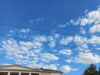 20250421_075059.thumb.jpg.9c004bc626b6d326dee1dbbb98ac8a5f.jpg