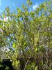 20250423_134251.thumb.jpg.ad24b078e9547da362793a8527563746.jpg