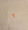 20250424_002231.thumb.jpg.eee6ab3edc3ad59a550a68961d4abf76.jpg