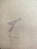 3.thumb.jpg.40cf633fc576d993e8a877cc7ded0782.jpg