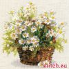 31189.thumb.jpg.d0b2aaf5d9559e561cebeb0cbfcd7e54.jpg