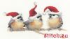 Heritage 1372, Festive Chicks