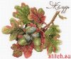 МП Студия НВ-769, Дары природы. Желудь