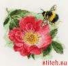 58789.thumb.jpg.ced894aa2b7fba5a433a6cc2016b95fb.jpg