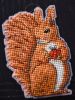 DSC_5937.thumb.JPG.5d87105af56c4744cde542b6d8fc4ec7.JPG