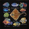 Fishes.thumb.jpg.b6b9221e20e137016ef67ebb6409b610.jpg