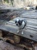IMG-20250402-WA0009.thumb.jpg.f7057e1263d422061da7c76bfee89d25.jpg