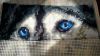 IMG-20250405-WA0006.thumb.jpg.d84ad5a41f87eb72f72837be3d6e02a3.jpg