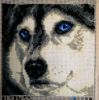 IMG-20250405-WA0007.thumb.jpg.682531ff88cc442e156a9cbaa79e5e2d.jpg