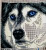 IMG-20250405-WA0008.thumb.jpg.1f04660f3ba6c294d82b18f4ffa742cb.jpg