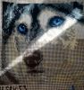 IMG-20250405-WA0009.thumb.jpg.e5802234bdf38e3193da91f5f5ee75bc.jpg