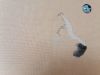 IMG-20250405-WA0011.thumb.jpg.49d91f1dfe9c1c9dfe7fb27e6a17d884.jpg