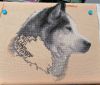 IMG-20250405-WA0012.thumb.jpg.fbabbe3f924f9ef6254e943ded42343b.jpg