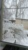 IMG-20250406-WA0000.thumb.jpeg.ab84c08bf35bd9b92127a6cc2cf5f00f.jpeg