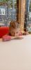 IMG-20250424-WA0073.thumb.jpg.9ba2c9d8b189bd757b8918e28727dd88.jpg