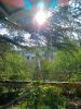 IMG20250413092830.thumb.jpg.ce3170b59f91d9b34c29c16cbfb0f8cb.jpg