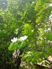 IMG20250414131431.thumb.jpg.02a74a47650372118d5557df9c29a61e.jpg