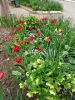 IMG20250415171955.thumb.jpg.412ccf6065d2d09bfa114ed3b9f638cd.jpg