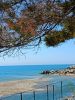 IMG20250422113307.thumb.jpg.2844ccb4b600b9c7e3aaf9c25522b0f8.jpg
