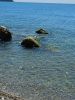 IMG20250422113826.thumb.jpg.994eac7997bce4b4c3669a03480d9767.jpg