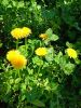 IMG20250422114013.thumb.jpg.065c24fcba63a2a1f23dead5de8f9c82.jpg