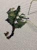 IMG_0977.jpeg
