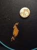 IMG_20241114_232834.thumb.jpg.8a4ccfd89d04e30d9ce29d513bfe5cea.jpg