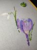 IMG_20250224_235144.jpg