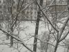 IMG_20250406_092534.jpg