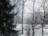 IMG_20250406_150943.thumb.jpg.d42287e1d2964685cfe586676b974436.jpg