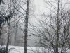 IMG_20250406_150956.thumb.jpg.2cfefde76d01fe772ae6763543a0c110.jpg