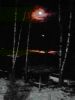 IMG_20250411_041123-2.thumb.jpg.7b29388e264f953eb3e19e687ae0011c.jpg