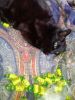 IMG_20250411_131909.thumb.jpg.4f81e72ee7ee93dff9944fbdd6ac8bc4.jpg