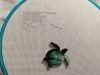 IMG_20250411_225142.thumb.jpg.1ae183b5882cd0544e84958c7f0f6fe4.jpg