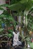 IMG_20250413_142154.thumb.jpg.512b2d31d793aee6739a84c31a7fc2f1.jpg