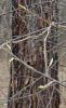 IMG_20250413_194103.thumb.jpg.e80d6f076ec47632aacada178a2b6de0.jpg